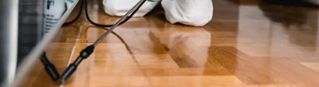 Insetos Rasteiros Dedetização 24 HORAS